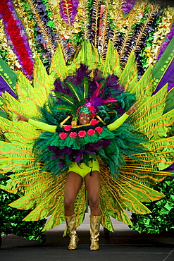 Dancer in the Caribana Festival Parade 2009, Toronto, Ontario