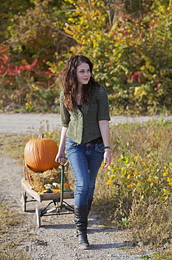 Teenage girl pulling wagon with pumpkin, Vittoria, Ontario