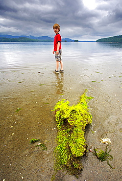 Young boy standing on a beach, Barkley Sound, Vancouver Island, British Columbia