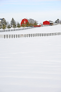 Red Barn in Winter, Near Zephyr, Ontario