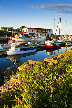 Marina and the Vieille Usine at sunset, L'Anse-a-Beaufils, Gaspesie, Quebec