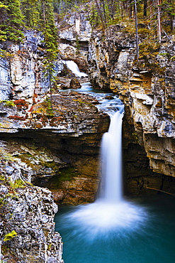 Overview of Icefields Parkway, Beauty Creek, Jasper National Park, Alberta