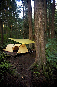 Camp site at Payzant Creek on the Juan de Fuca Marine Trail, Vancouver Island, British Columbia