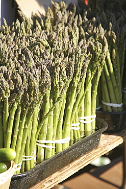 Asparagus at a farmers market, Kitchener, Ontario