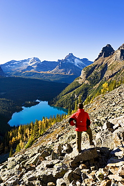 Hiker looking out at Lake O'Hara, Yoho National Park, British Columbia