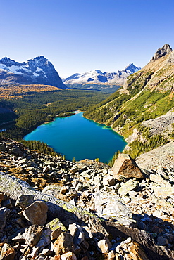 Artist's Choice: Lake O'Hara, Yoho National Park, British Columbia