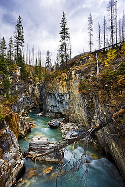 Marble Canyon, Kootenay National Park, British Columbia