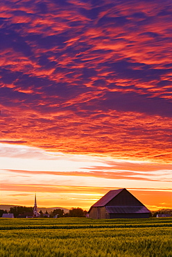 Barley fields, barn, church and colourful sky at dusk, Bas-Saint-Laurent region, Saint-Donat, Quebec