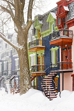 Houses in Winter, Montreal, Quebec