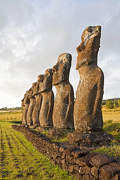 The seven moais (restored in 1960 by archaeologist William Mulloy) of Ahu Akivi are the only moai to face the ocean, Rapa Nui (Easter Island), Chile