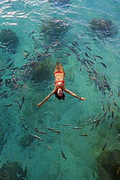 School of fish encircling woman floating in tropical ocean water.