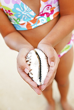 Hawaii, Oahu, Young girl holding a sea Cowry Shell.