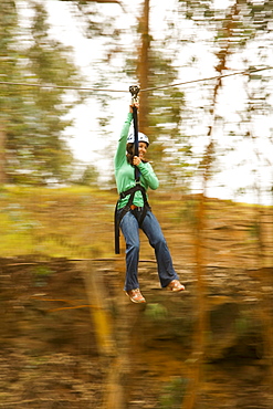 Hawaii, Maui, Zipline Adventure, Woman riding the zipline.