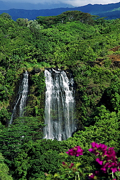 Hawaii, Kauai, Opaekaa Falls in lush green surroundings.