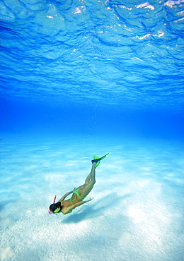 French Polynesia, Moorea, Woman free diving in turquoise ocean.