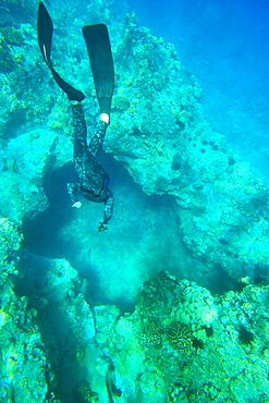 Hawaii, Maui, Makena, Spearfisher diving into hole in reef.