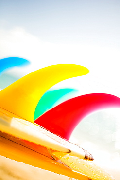 Colorful surfboards fins, bright sunny sky in background.