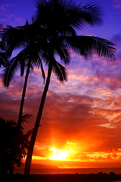 Hawaii, Oahu, Beautiful sunset.