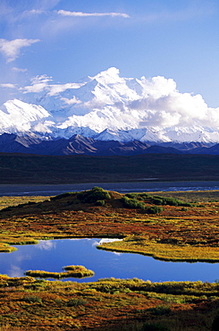 Alaska, Denali National Park, Denali, Tundra pond, Mountains in background.