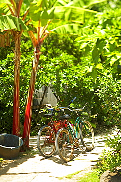 French Polynesia, Tahiti, Maupiti, local bikes parked in driveway.