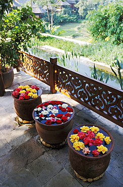 Thailand, Chiang Mai, The Regent Resort, Flowers floating in pots along walkway overlooking resort.