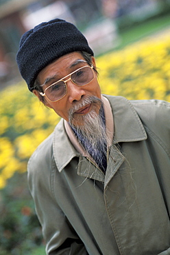 Vietnam, Hanoi, Portrait of local elderly man with white beard, yellow flowers in background.