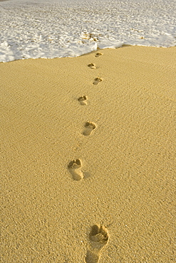 Hawaii, Oahu, North Shore, Footprints in the sand leading into the ocean, golden light