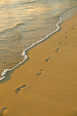 Solitary footprints on sandy beach, incoming gentle tide and foamy water