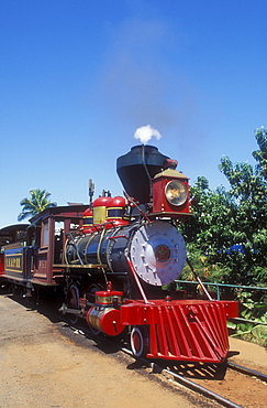 Hawaii, Maui, Lahaina, Kaanapali and Pacific Railroad, the Sugar Cane Train.