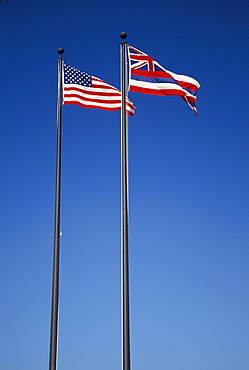 U. S. and Hawaii State flags, long vertical shot, blue sky,