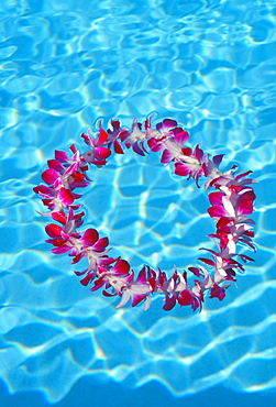 Orchid lei floating in pool with water reflections, close-up