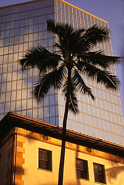 Hawaii, Oahu, Pacific Guardian Life, with Dillingham Transportation bldg in Honolulu