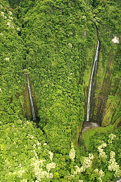 Hawaii, Maui, Hana Coast, Waihiumalu waterfall, Two falls, green and lush, view from above.