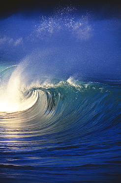 Hawaii, View of wave curling over.