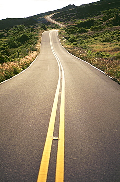 Hawaii, Maui, Country road through rolling hills