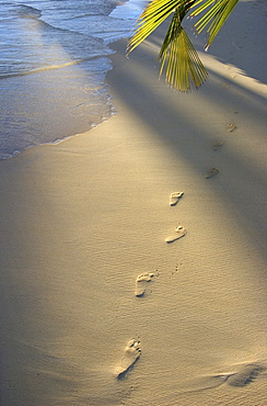 Footprints in sand at water's edge, soft warm golden light