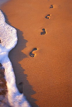 Close-up of footprints in the sand along shoreline, golden afternoon with shadows