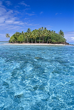 French Polynesia, Bora Bora, Motu island, clear turquoise water in foreground B1696