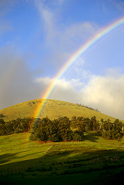 Hawaii, Big Island, Waimea, Rainbow over pastures B1448