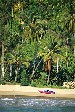 Hawaii, Kauai, Lawai, White sand beach and lush tropical forest, kayaks on shore, B1518