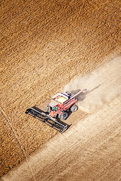 Aerial view of a combine harvesting soybeans in Kent County; Rock Hall, Maryland, United States of America