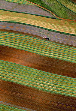 Agriculture - Aerial view of a tractor with an implement disking and planter planting in a single pass in contour strips / Virginia, USA.