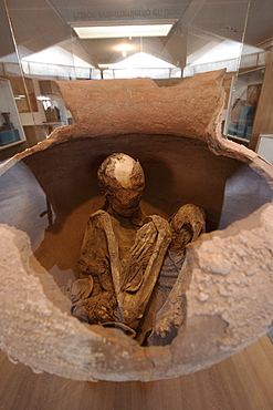 Skeleton In A Pot On Display At The Archaeological Museum R. P. Gustavo Le Paige, San Pedro De Atacama, Antofagasta Region, Chile