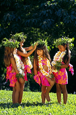 Four Keiki Hula Girls In Colorful Pareos With Haku And Leis Fix Each Other B1402