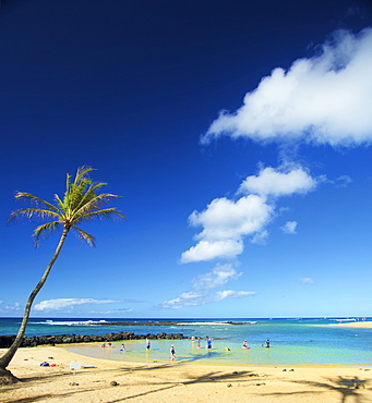 Tourists playing in the shallow water along the coast of the Island of Hawaii; Haene, Island of Hawaii, Hawaii, United States of America