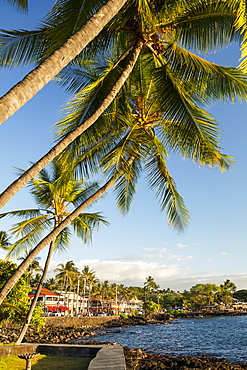 Shops along Alii Drive, Kailua Bay, Kailua-Kona, Island of Hawaii, Hawaii, United States of America