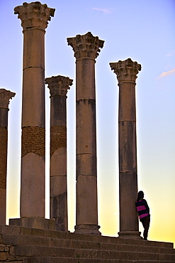 Excavated Roman City, Volubilis, Morocco, North Africa