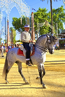 Spanish horse rider in traditional dress at annual Horse Fair, Jerez de la Frontera, Cadiz Province, Andalusia, Spain, Europe