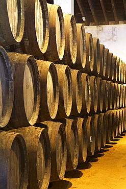 Bodegas Tio Pepe, Jerez de la Frontera, Cadiz Province, Andalucia, Spain, Europe