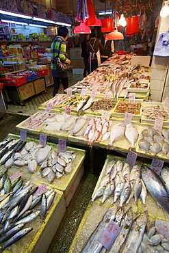 Fish Market, Hong Kong, China, Asia